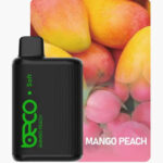 BECO 6000 PUFFS DISPOSABLE VAPE