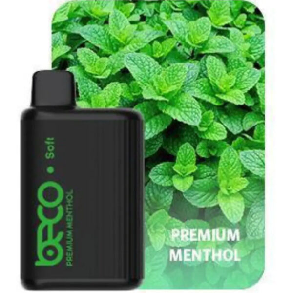 BECO 6000 PUFFS DISPOSABLE VAPE