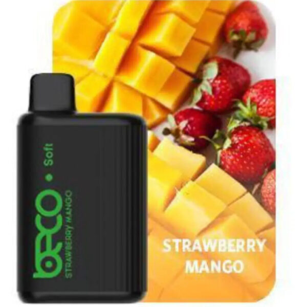 BECO 6000 PUFFS DISPOSABLE VAPE