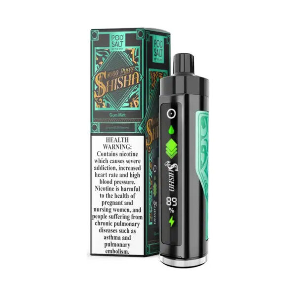 POD SALT SHISHA 8000 PUFFS DISPOSABLE VAPE